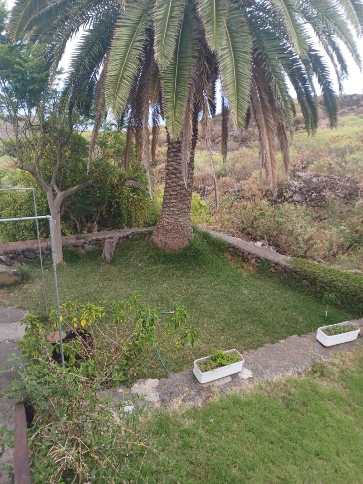 Casa Rural El Olivo De Mazo Экстерьер фото