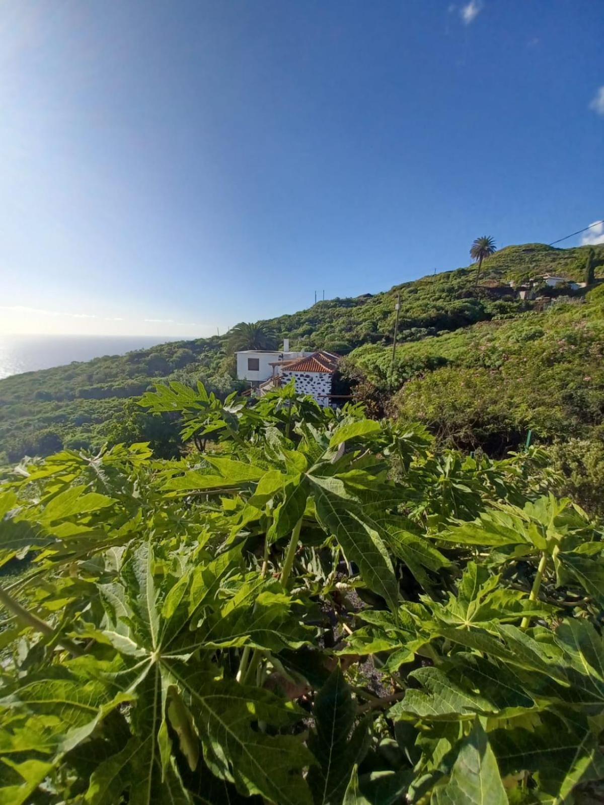 Casa Rural El Olivo De Mazo Экстерьер фото